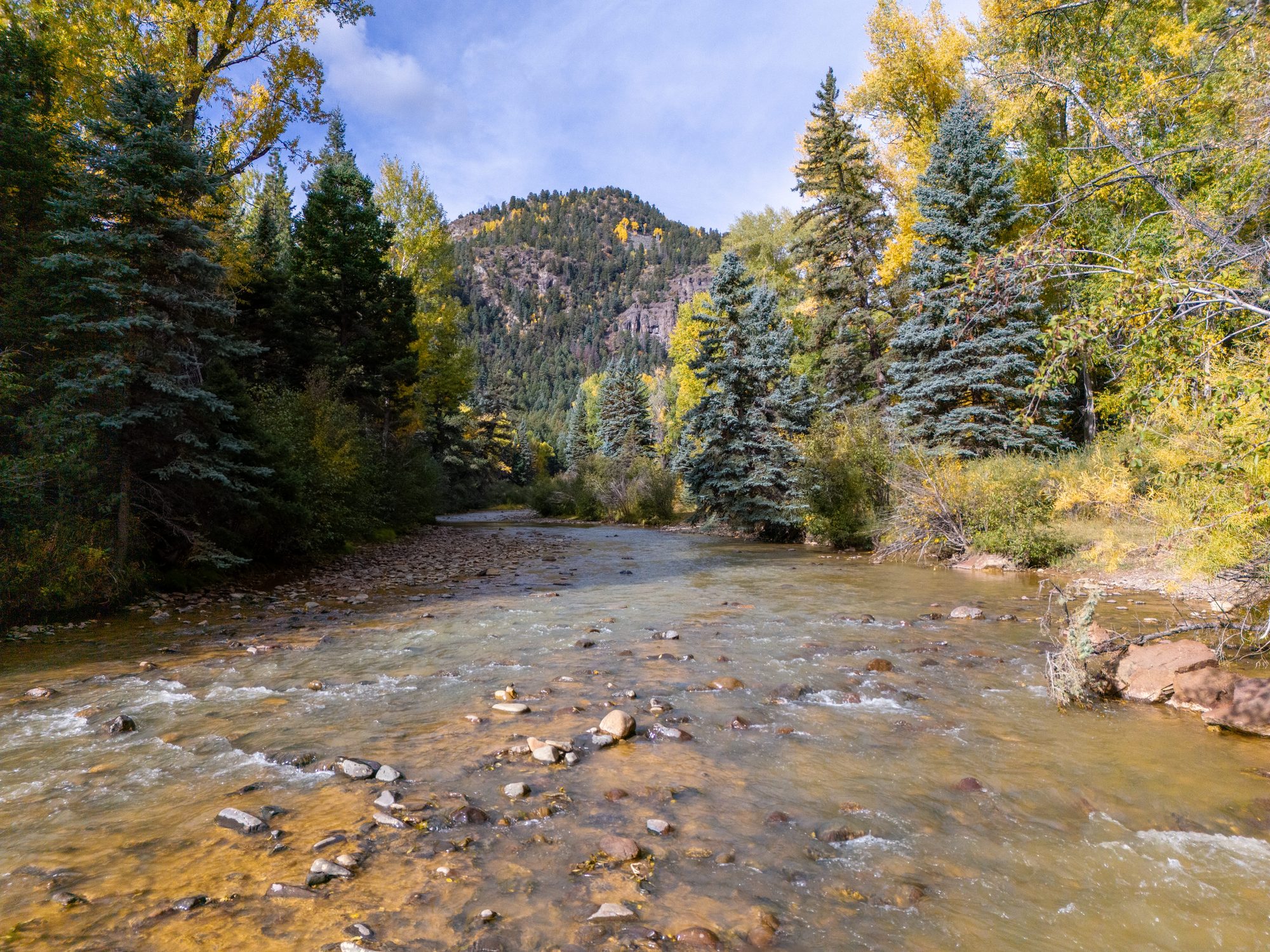 Conejos River fishing